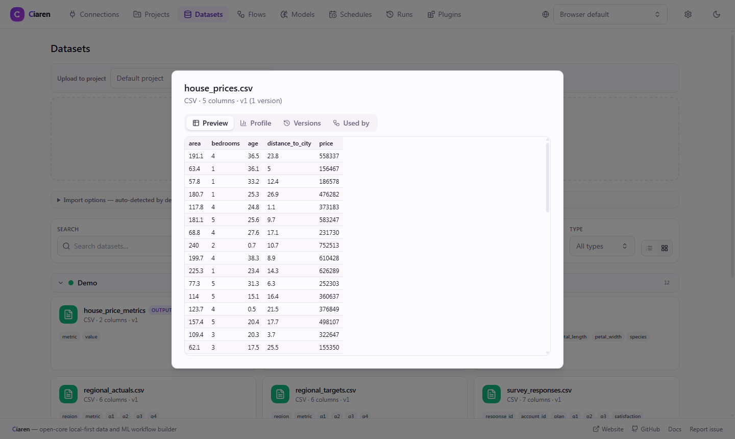 Dataset detail dialog — Preview tab showing column data, with Profile / Versions / Used by tabs