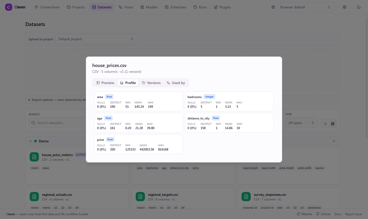 Dataset Profile tab — per-column null counts, distinct values, type badges, and numeric ranges