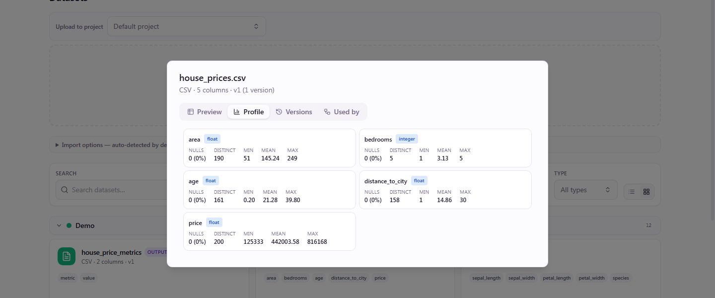 Ciaren dataset profile page showing column statistics, null counts, and value distributions for an uploaded dataset